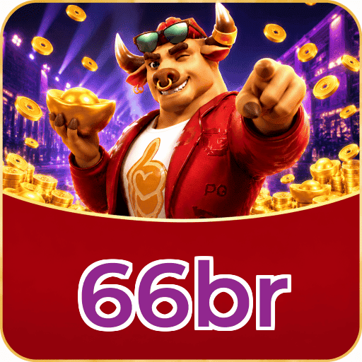 66br Interface